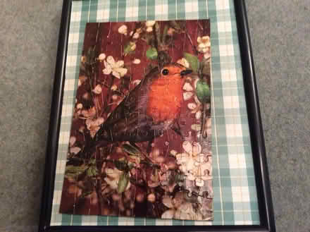 Photo of free Robin jigsaw puzzle (WR5) #1