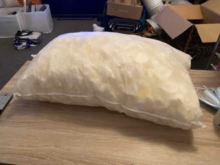 Photo of free Memory foam stuffing pillow (Hastings TN34) #1