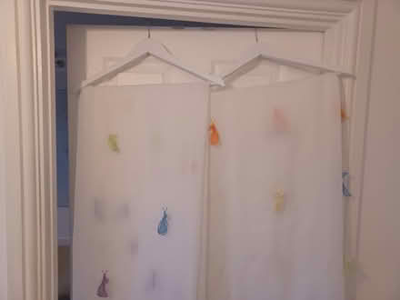 Photo of free Pair of Voile butterfly curtains (Leigh on Mendip, BA3) #2