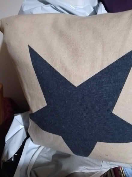 Photo of free Feather cushion (Garden City OX5) #2