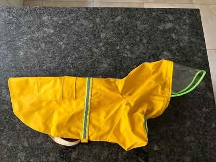 Photo of free Dog's Yellow Raincoat - excellent condition (Maida Vale W9) #2