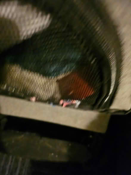 Photo of free Dog buggy (Boxgrove PO18) #2
