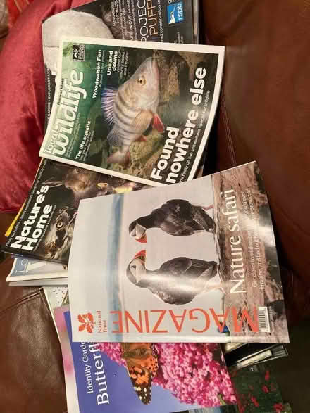 Photo of free Collection of nature-focused magazines (Bugbrooke) #2