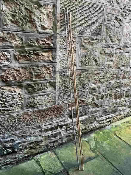Photo of free Bamboo canes (Goldenacre EH3) #1