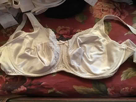 Photo of free Size 42 C underwire bras (Near the Cabaret theatre) #2
