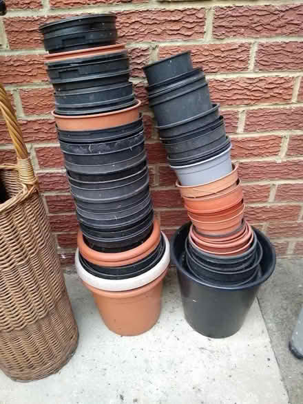 Photo of free Flower Pots (Bere Regis BH20) #1