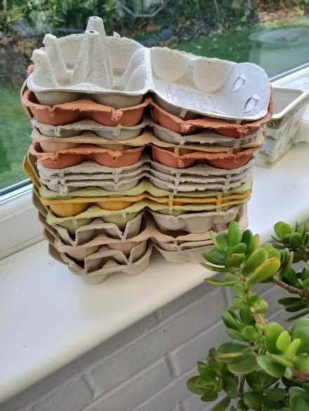 Photo of free Egg boxes (Aldwick PO21) #1