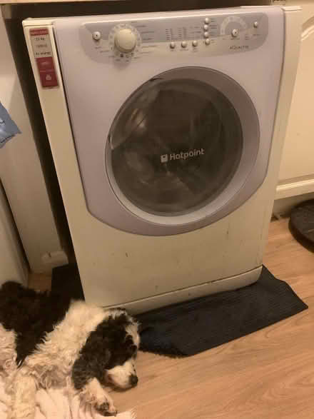 Photo of free Washing machine (Pevensey BN24) #1