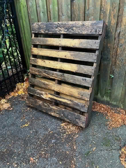 Photo of free 2-way wooden pallet (southeast Oakville) #1