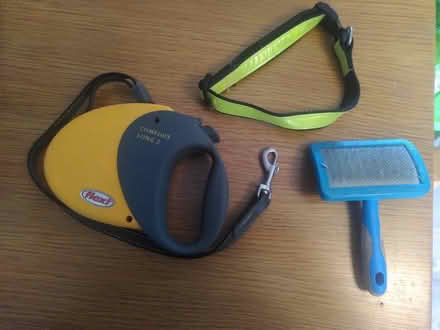 Photo of free Flexi lead, florescent collar and brush (Hollingdean BN1) #1