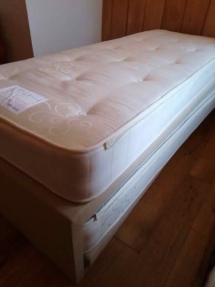 Photo of free single/king trundle guest bed (Bettws-y-crwyn LD7) #2