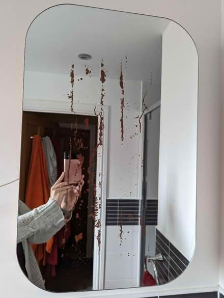 Photo of free Mirrored bathroom wall cabinet (Cumnor OX2) #3