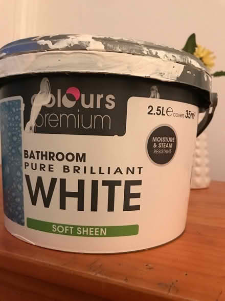 Photo of free Bathroom paint (Bryson Road) #1
