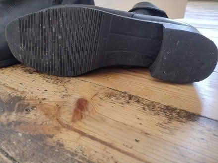 Photo of free Ladies ankle boots (size 40) (Catshill, B61) #1