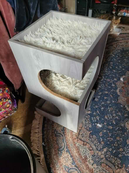 Photo of free Cat bed (South Brunswick) #3