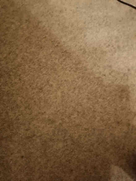Photo of free Carpet (Kirkby Thore CA10) #1