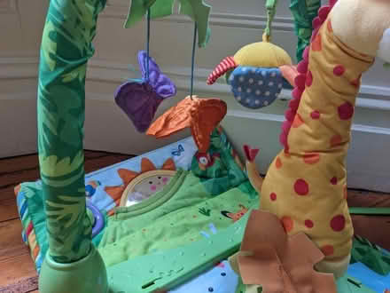 Photo of free Baby mat and toys (Widcombe) #3