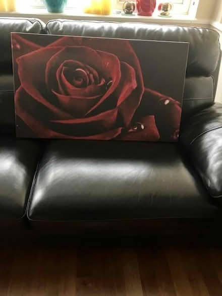 Photo of free Canvas wall art (Oakwood Park N14) #1