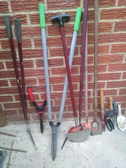 Photo of free Gardening Tools (Bere Regis BH20) #1