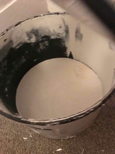Photo of free Wall paint in white (Bryson Road) #2