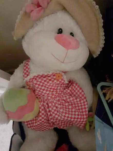 Photo of free Easter Bunny cuddly toy (Leagrave LU4) #1