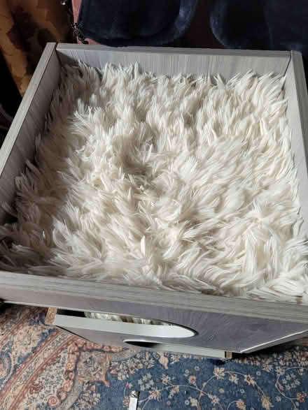 Photo of free Cat bed (South Brunswick) #4