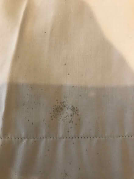 Photo of free Pair of curtains (Kendal LA9) #1