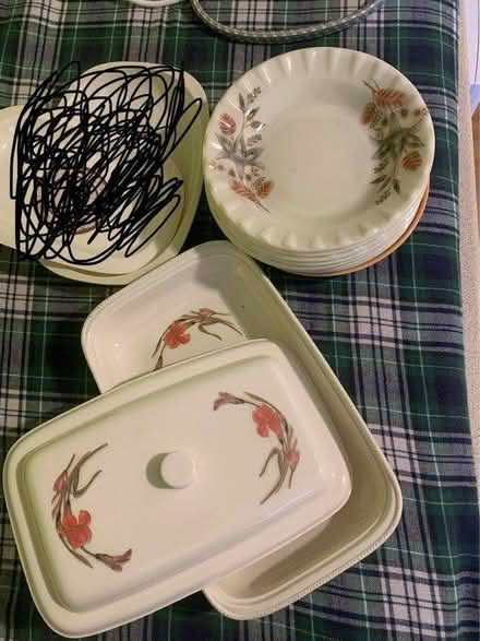 Photo of free Plates and dish (Oakwood LS8) #1