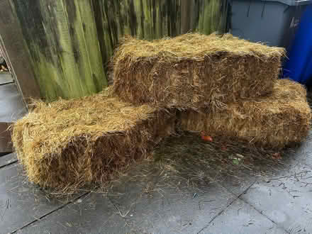 Photo of free 3x hay bales (ST2) #2