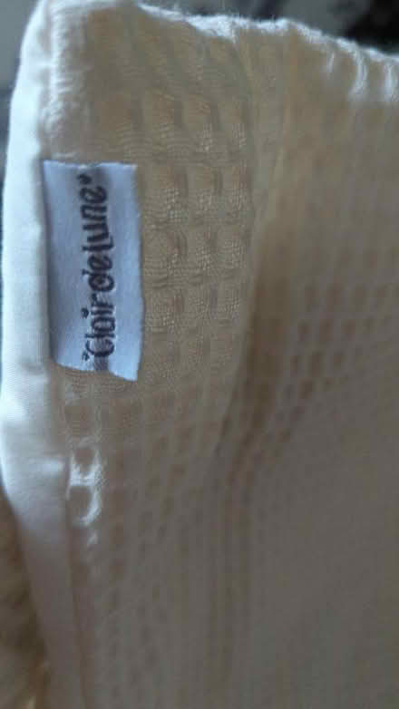 Photo of free Moses basket with stand (Wavertree) #4