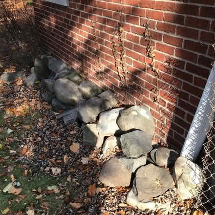Photo of free Rocks (Main/catalpa R.O.) #1