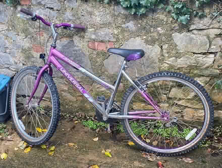 Photo of free Lady’s/Girl’s Bike (Old Colwyn) #2