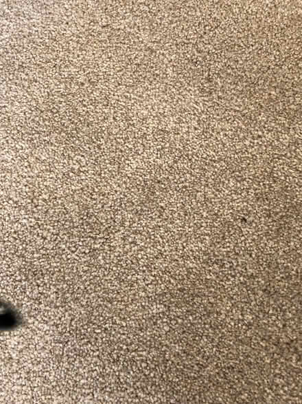Photo of free Carpet (Amber Valley DE56) #1