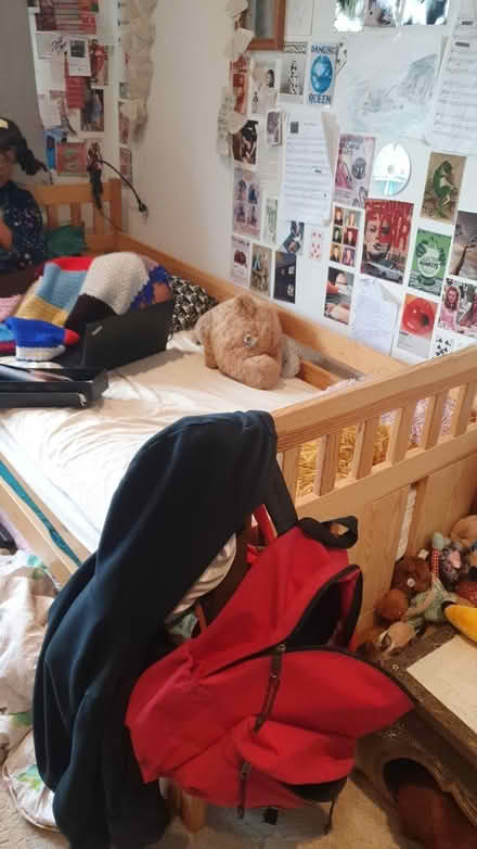 Photo of free Narrow single bed with guest trundle bed (Herne Hill SE24) #2