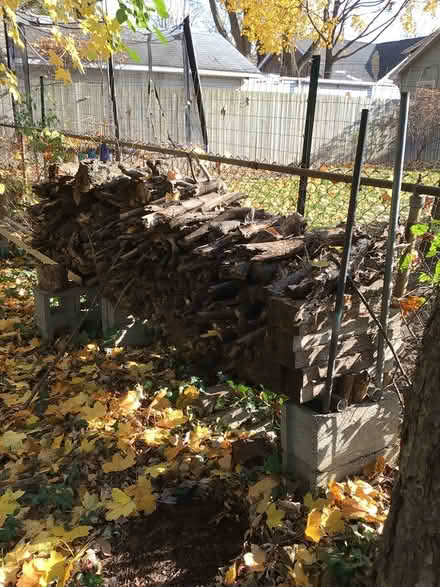Photo of free Wood (Main/catalpa R.O.) #1