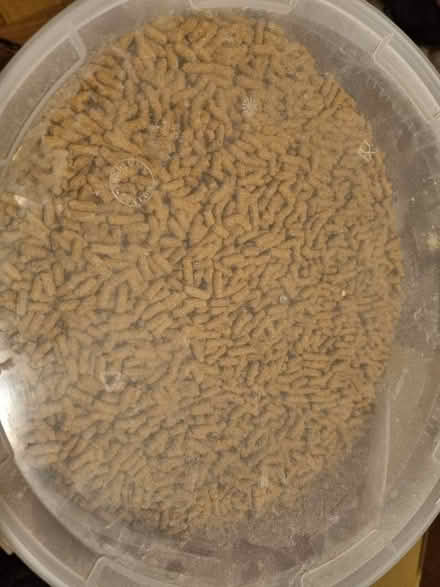 Photo of free Koi Sticks (fish food) 4.2kg drum. (Norbury SW16) #2