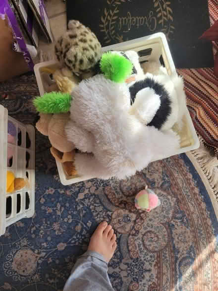 Photo of free stuffed animals (South Brunswick) #1