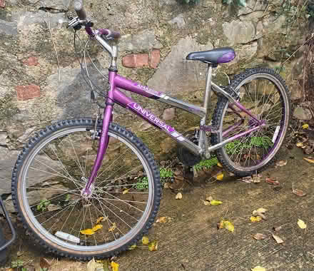 Photo of free Lady’s/Girl’s Bike (Old Colwyn) #1