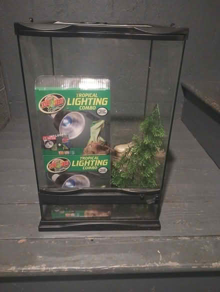 Photo of free Reptile terrarium (Westfield,MA) #1