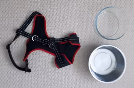 Photo of free Dog Harness and Dog Bowls (Lexden CO3) #1