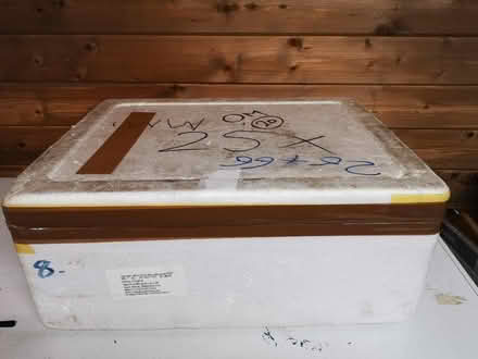Photo of free Polystyrene chiller box (Hounslow TW3) #1