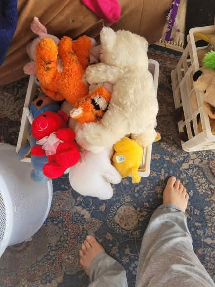 Photo of free stuffed animals (South Brunswick) #2