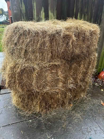 Photo of free 3x hay bales (ST2) #1