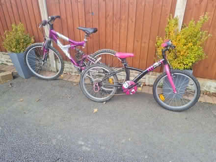 Photo of free Bikes (CH65) #1