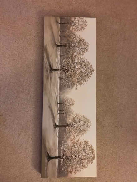 Photo of free Wall canvas (Penicuik EH26) #1