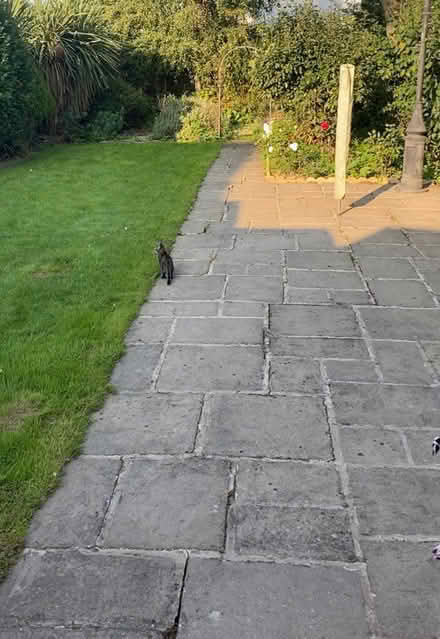 Photo of free Concrete paving (Oadby) #1