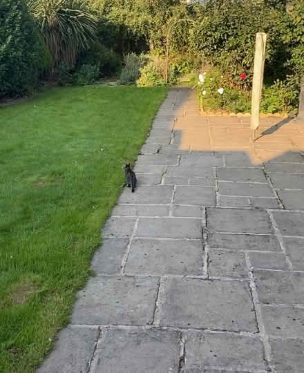 Photo of free Concrete paving (Oadby) #2