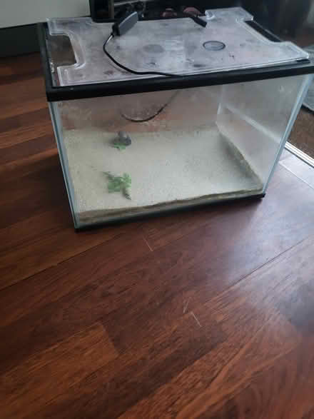 Photo of free Fish tank small (Seven kings ilford IG3) #2