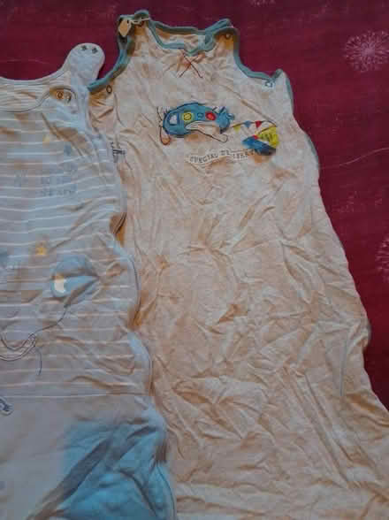 Photo of free Three 0-6 months sleeping bags (Yorkshire) #3