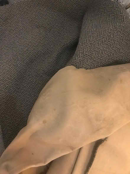 Photo of free carpet (Foxbar,PA2) #2